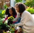 Nos fleurs et plantes !