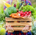 Nos fruits et légumes !