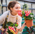 Nos plantes et fleurs !