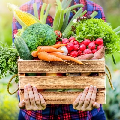 Nos fruits et légumes !