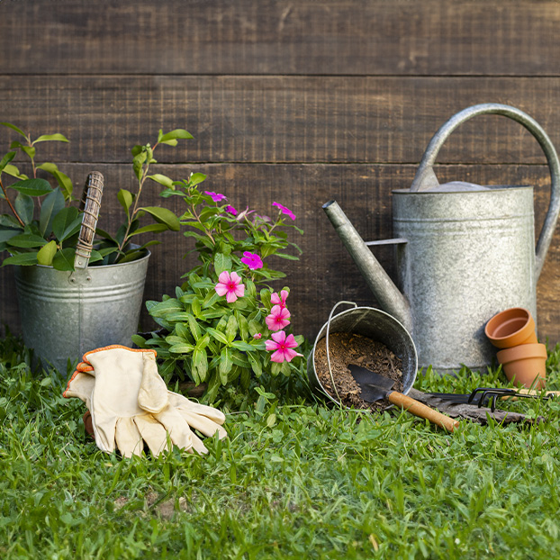 Tout pour le jardin !