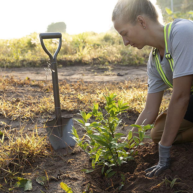 Les essentiels du Jardin !