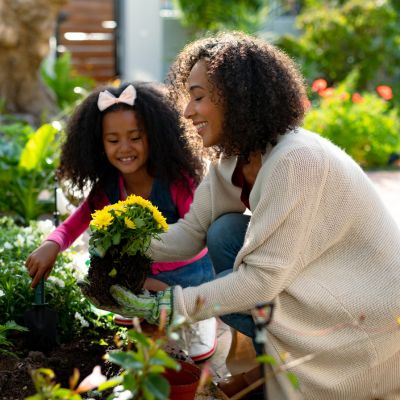 Notre sélection de plantes