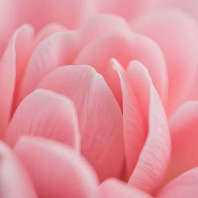 Notre sélection Saint-Valentin