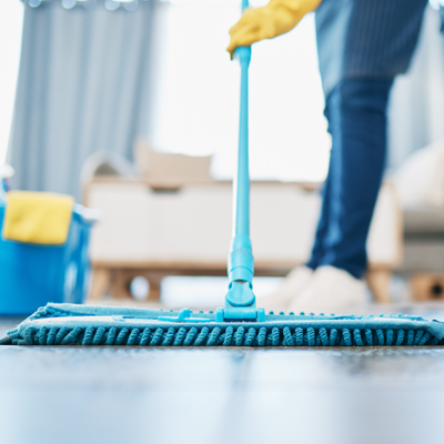 Entretien de la maison