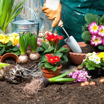 Côté jardin